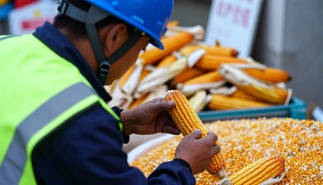 南阳传承生物科技有限公司介绍农产品收购在渠道供货中的应用